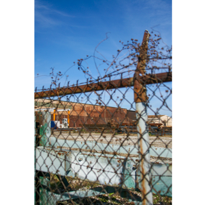 Reitz Champions T-shirt